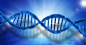 ADN de nos cellules.&nbsp;© PublicDomainPictures - Domaine public