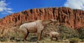 Le Baluchitère (Paraceratherium bugtiense) était un gigantesque rhinocéros sans cornes. © Rom-diz Domaine public - Toby Hudson CC BY-SA 3.0