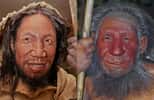 Représentation des visages de l’Homo sapiens (à gauche) et de l’Homo neanderthalensis (à droite). © Daniela Hitzemann et Stefan Scheer, Creative Commons 4.0