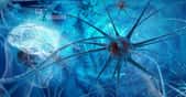 Synapse du système neuronal. © Vitstudio, Shutterstock