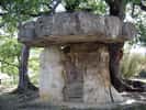 La Pierre de la fée est un dolmen classé au titre des Monuments historiques, et situé sur la commune de Draguignan dans le Var. Il date de l'époque néolithique. © Martinp1, Wikimedia Commons, cc by sa 3.0