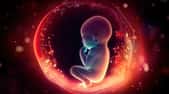 Le développement du fœtus est influencé par les microbes de la mère selon une nouvelle étude. © TRAVELARIUM, Adobe Stock