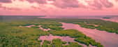 Avec ses 7 000 km de long, l'Amazone arrive en tête du classement, au coude à coude avec le Nil. © Timelapse4K, Adobe Stock