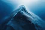 Tout comme les continents, les fonds marins sont parsemés de montagnes, de fosses et de canyons. © NATURALFAMILY, Adobe Stock