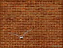 Le contremur assure la solidité d'un premier mur. © , CC-BY-NC-ND 2.0, Flickr