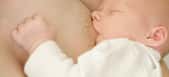 Le colostrum est le liquide nutritif sécrété par les glandes mammaires durant les premiers jours après l'accouchement. Un aliment précieux pour les défenses immunitaires du nouveau-né. © Richard Semik, Adobe Stock