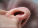 La polypose nasale est une inflammation chronique des muqueuses nasales et du sinus. ©&nbsp;hans12, Adobe Stock