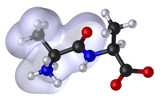A gauche, l’enveloppe grise correspond à la région lipophile (hydrophobe) de la molécule. © Dhatfield et Edboas, Wikimédia CC by-sa 3.0
