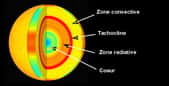 Coupe de l'intérieur du Soleil montrant la tachocline à l'interface entre les zones radiatives et convectives. © CEA