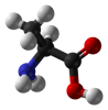 L'alanine est un acide aminé hydrophobe (carbone en noir, oxygène en rouge, azote en bleu et hydrogène en blanc). © Domaine public