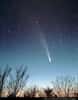 La comète Bennett au printemps 1970. Crédit A. Fujii/D. Malin Images