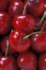 Les cerises sont un des fruits rouges les plus caloriques. © DR