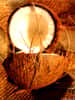 La noix de coco est très riche en calories. © Wikimedia Commons