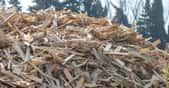 Les déchets bois sont de ceux qui peuvent alimenter la pyrogazéification. © illustrez-vous, Adobe Stock