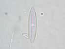 La diatomée est une microalgue planctonique. © Fabelfroh, Flickr, CC by nc-sa 2.0
