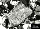 ce grain de quartz choqué présente des plans de fractures parallèles provoquées par les hautes pressions de l'impact d'une grosse météorite. © CRAS/Elsevier/Ph.Paillou