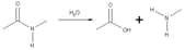 Une hydrolase permet de couper des liaisons covalentes à l'aide d'une molécule d'eau. © DR