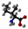L'isoleucine est un acide aminé essentiel (carbone en noir, oxygène en rouge, azote en bleu et hydrogène en blanc). © Domaine public