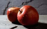 Les variétés de pommes sont très nombreuses (ici, deux pommes Fuji). © DR