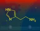 La molécule d’histamine dérive de l’histidine. © meletver, Fotolia