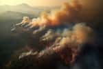 Les mégafeux du Canada ont battu tous les records : 18 millions d'hectares ont déjà été brûlés, soit 8,5 fois la normale. © Sheremetio, Adobe Stock