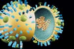 Modèle de virus de la grippe, ou influenza virus, avec en surface la neuraminidase (en vert) et l'hémagglutinine (en bleu). © Sanofi Pasteur, Flickr, CC by-nc-nd 2.0