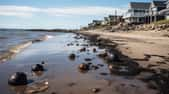 D'étranges boules noires se sont échouées sur plusieurs plages d'Australie. Il pourrait s'agir de rejets d'hydrocarbures en mer. © vectorwin, Adobe Stock (image générée avec IA)