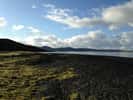 Un paysage d'Islande avec des mousses en bordure d'un rivage. Il donne une idée de l'aspect de la Terre quand les plantes ont commencé à coloniser les continents. © Ria Mitchell, cc by sa 4.0