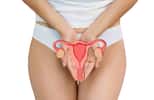 Un kyste ovarien est une petite poche remplie de liquide qui se développe sur l’un des ovaires ou sur les 2. © Peakstock, Adobe Stock