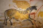 Quelle est la signification des peintures rupestres ? © Thierry, Adobe Stock