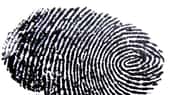 Le fingerprinting, en quelque sorte une empreinte numérique. © Piqsels