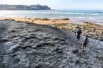 La plage de La Griega en Espagne est célèbre pour ces immenses empreintes de dinosaures. © Alba, Adobe Stock