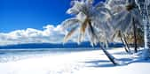 La Floride a connu plus de neige que certaines villes en Alaska cet hiver ! © lutsenko_k_, Adobe Stock