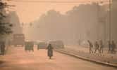 La pollution de l'air est responsable de nombreuses morts chez les nourrissons. Photo : une rue de Delhi, en Inde. © saurav005, Adobe Stock