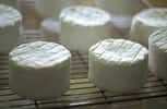 Les fromages frais, de vache ou de chèvre, sont les plus facile à fabriquer chez soi. © FOOD-micro, Fotolia
