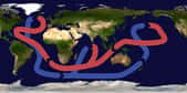La circulation océanique thermohaline est actionnée par la différence de densité des eaux au niveau du Groenland. La plongée des eaux qui s’ensuit est le moteur du tapis roulant océanique. © Brisbane, Wikimédia CC-by-sa 3.0