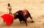 Le taureau de la corrida voit surtout un humain qui l'agresse. © Enrique Dans, Flickr CC by-nc-sa 2.0