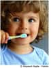 Le brossage des dents doit être réalisé plusieurs fois par jour. © Wojciech Gajda, Fotolia