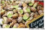 Les escargots sont bons pour la santé, lorsqu'ils sont consommés nature ! © Frédéric Combes/Fotolia