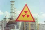 Des vers vivants près de la catastrophe de Tchernobyl ont développé un talent unique grâce à l’évolution. © iStock 