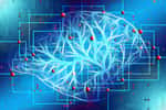 Pour nous ressembler un peu plus, l’intelligence artificielle de demain sera composée de véritables cellules cérébrales humaines. © Gerd Altmann, Pixabay