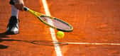 Roland Garros © Alexi Tauzin, Adobe Stock