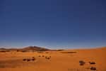 Les pays entourant le Sahara connaissent des températures moyennes supérieurs à 29 °C toute l'année. © Saharr, Fotolia