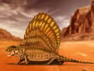 Le Dimetrodon grandis a vécu durant le Permien, entre 280 et 265 Ma avant notre ère.