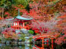 Féerique jardin japonais