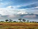 Les neiges du Kilimanjaro vues depuis le Parc National Amboseli, Kenya