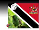 Drapeau : Trinité-et-Tobago