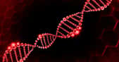 Parmi les biotechnologies rouges (aussi appelées biotechnologies de la santé) figurent les techniques de séquençage de l’ADN. © Vichy Deal,&nbsp;Shutterstock