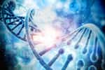 Une vue d'artiste de l'ADN avec ses nucléotides portant le code génétique. Les brins d'ADN ont une structure en double hélice ; ces brins eux-mêmes sont repliés et enroulés selon une structure compliquée pour former des chromosomes. © Digital Genetics, Shutterstock