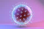 Les virus, de dimensions nanométriques pour la plupart, sont difficiles à isoler et à imager. Le VHC de l'hépatite C est l'un de ceux qui aura résisté le plus longtemps aux paparazzi. © Kateryna Kon, Shutterstock